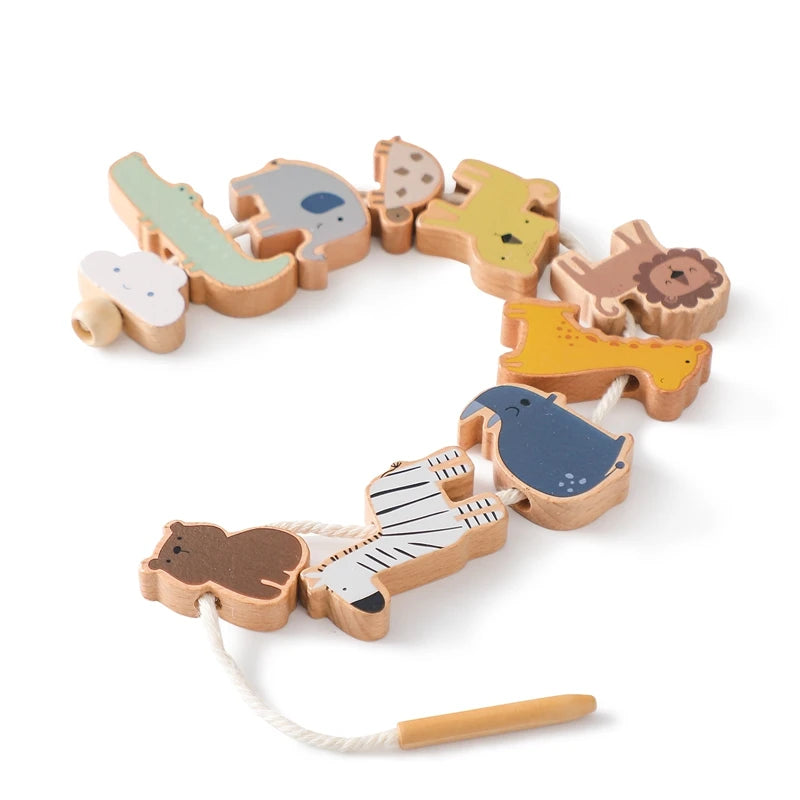 Montessori Toys Magic